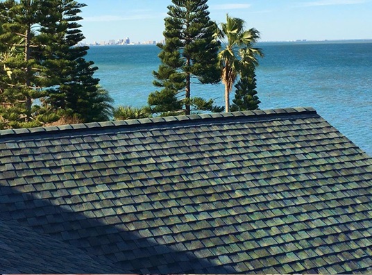 top view roof repair