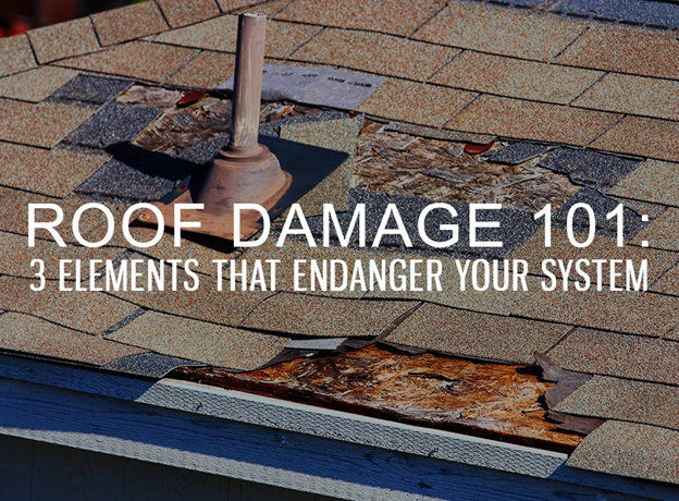 Roof Damage 101: 3 Elements that Endanger Your System
