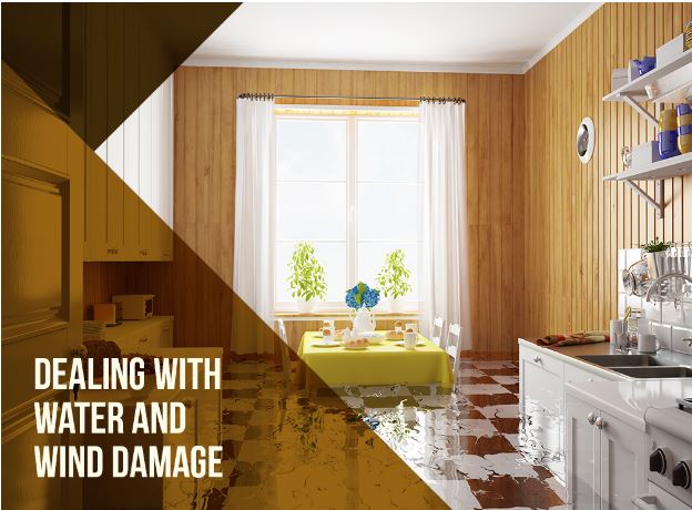 Dealing with Water and Wind Damage