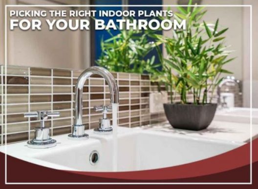 Picking the Right Indoor Plants for Your Bathroom